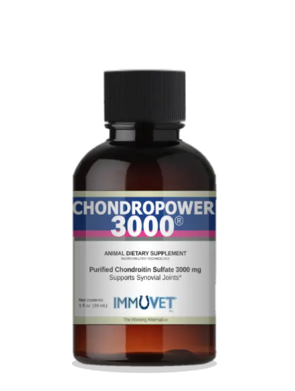 Bottle of Chondropower 3000 dietary supplement with IMMUVET label on a white background