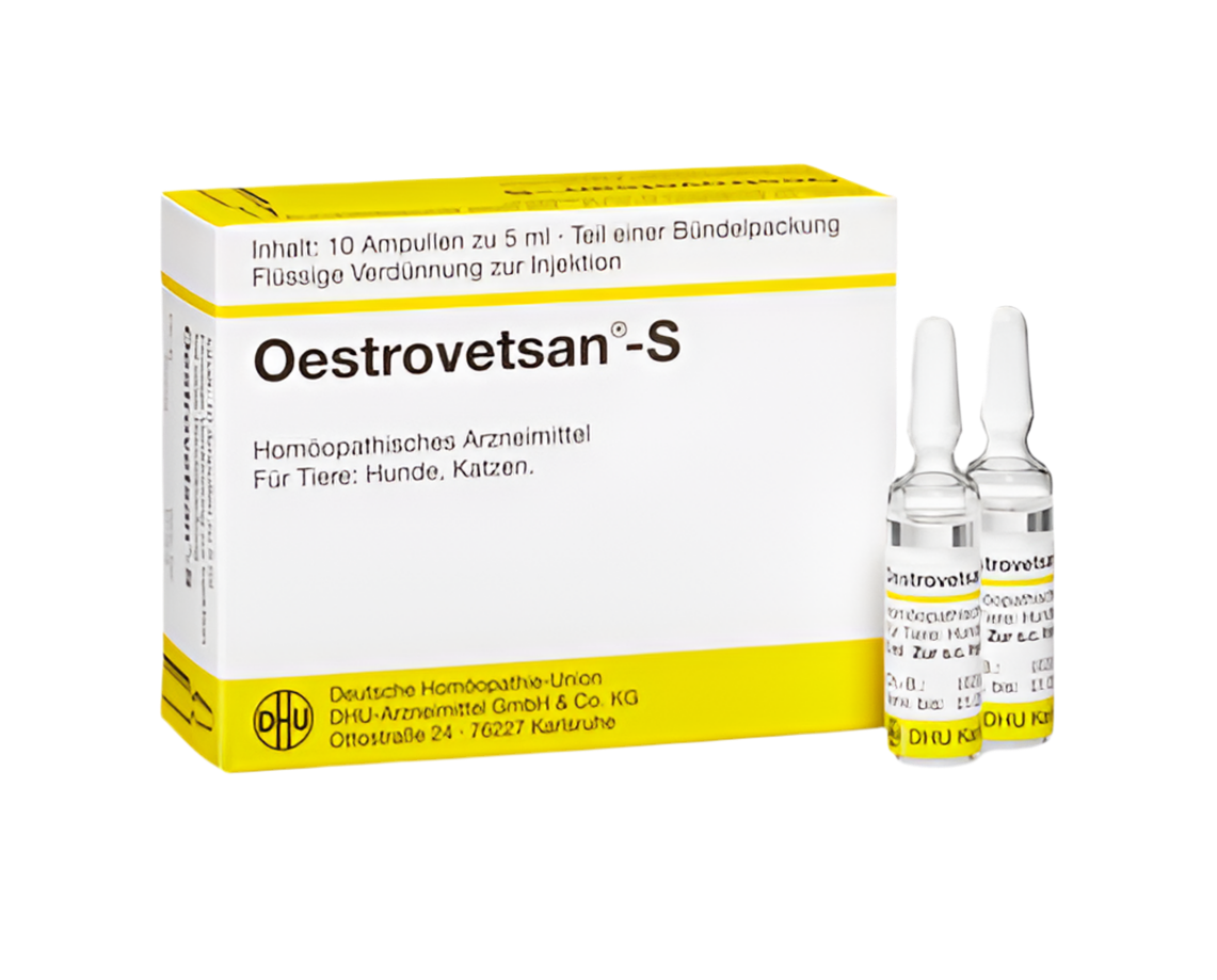 Oestrovetsan®-S - German-made ampoule is a powerful decongestant formulated with a blend of herbs. It's designed to treat horses with congestion, hemorrhaging, and respiratory issues.
