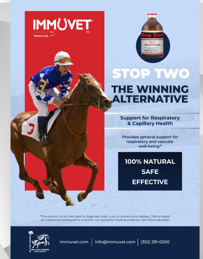 Immuvet® Horse Supplements – Natural Immune Boosters for Horses | Black Horse Supplements