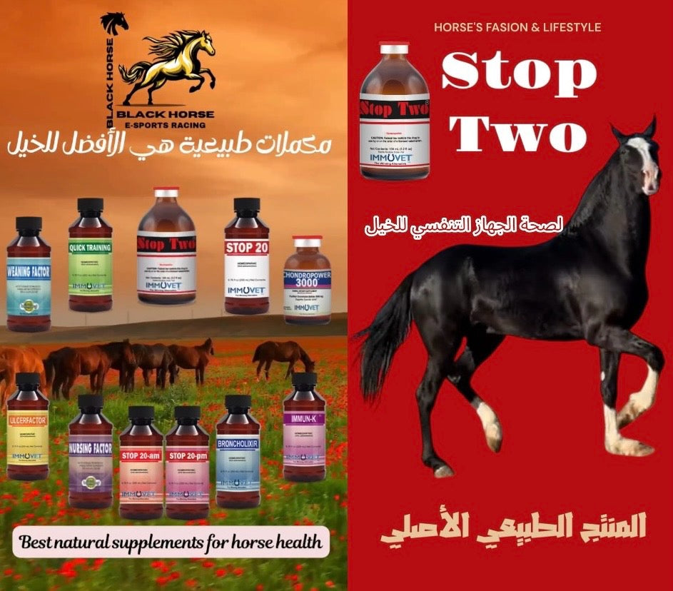 Immuvet® Horse Supplements – Natural Immune Boosters for Horses | Black Horse Supplements