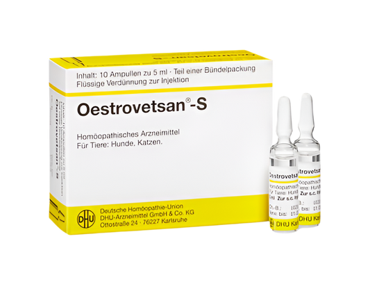 Oestrovetsan®-S - German-made ampoule is a powerful decongestant formulated with a blend of herbs. It's designed to treat horses with congestion, hemorrhaging, and respiratory issues.