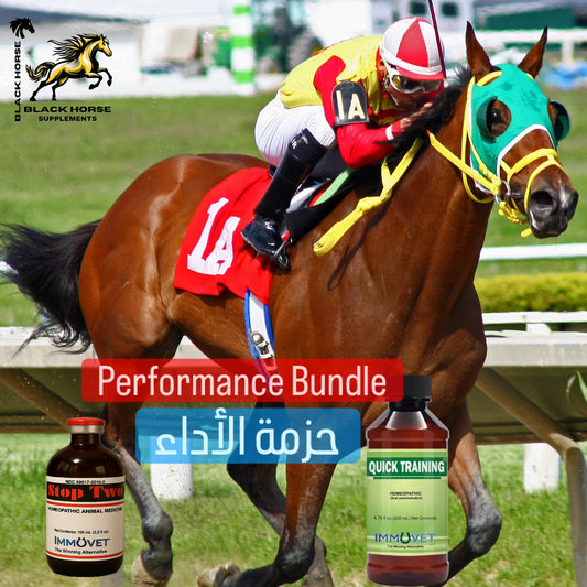 Complete Performance Support for Training & Competition