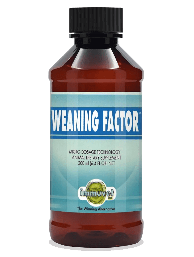 WEANING FACTOR ® – Natural Support for Foals During Weaning