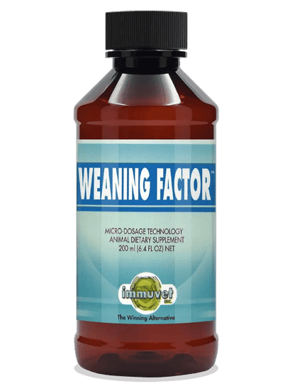 WEANING FACTOR ® – Natural Support for Foals During Weaning