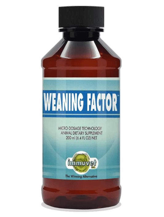 WEANING FACTOR ® – Natural Support for Foals During Weaning